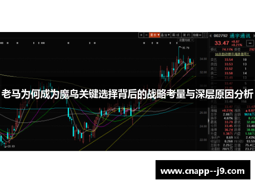 老马为何成为魔鸟关键选择背后的战略考量与深层原因分析