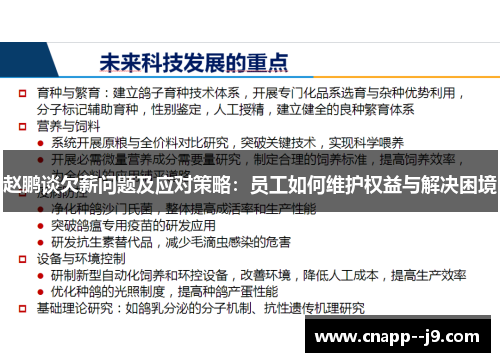 赵鹏谈欠薪问题及应对策略:员工如何维护权益与解决困境 赵鹏谈欠薪问题及应对策略:员工如何维护权益与解决困境