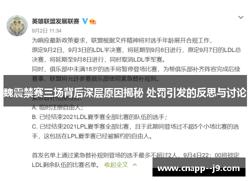 魏震禁赛三场背后深层原因揭秘 处罚引发的反思与讨论