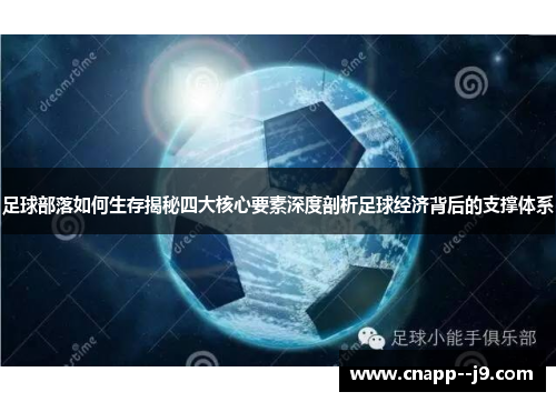 足球部落如何生存揭秘四大核心要素深度剖析足球经济背后的支撑体系