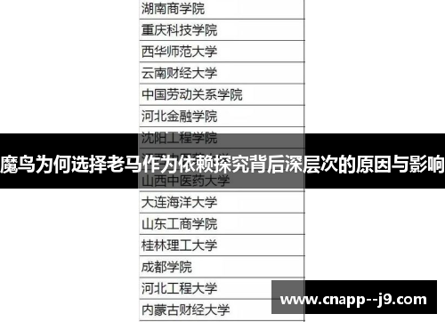 魔鸟为何选择老马作为依赖探究背后深层次的原因与影响